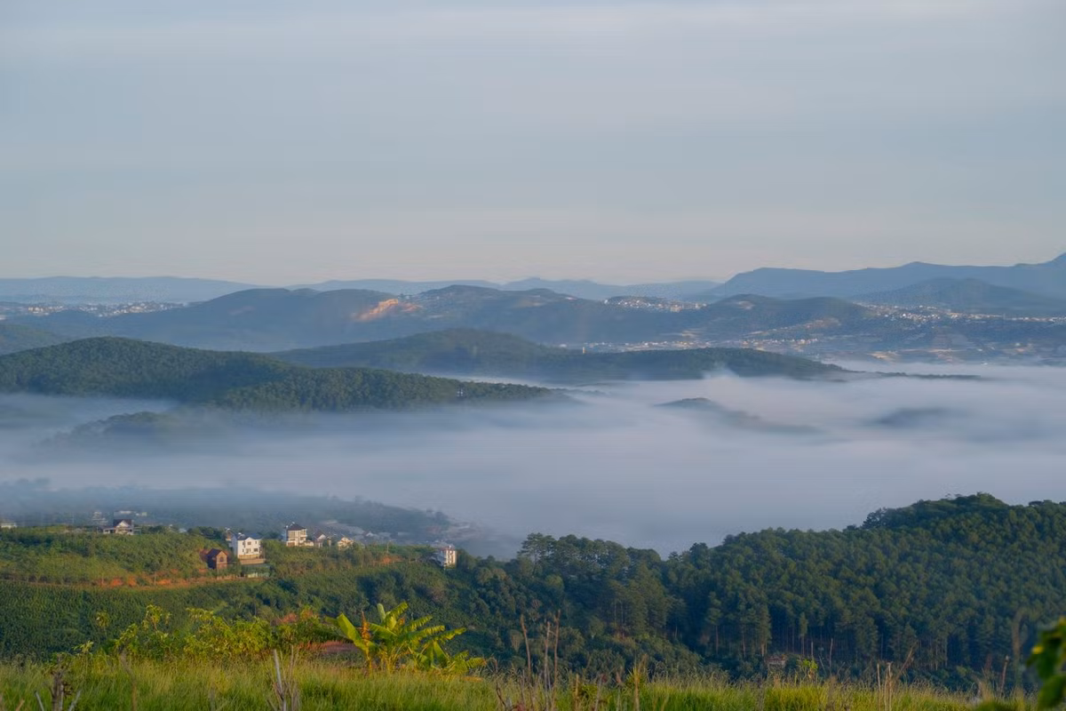 Một số công ty du lịch tại Đà Lạt như Amazing Dalat, Hoa Dalat Travel hoặc Gấu Homestay đang cung cấp tour săn mây kết hợp đồi chè – vườn hồng – vườn hoa theo lịch trình nửa ngày hoặc trọn ngày, giá dao động từ 350.000–500.000 đồng/người, bao gồm xe đưa đón, vé vào cổng và hướng dẫn viên bản địa. Ảnh Checkin Vietnam