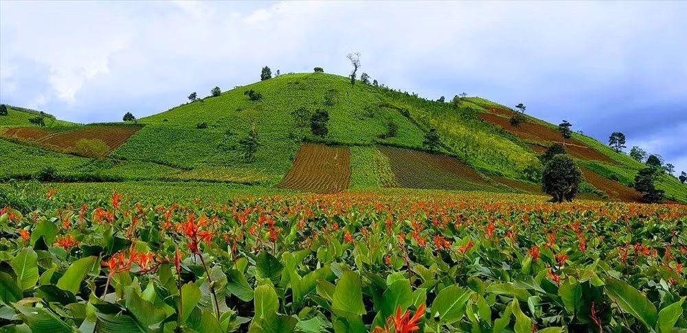 Du khách đến đây không chỉ được thưởng ngoạn cảnh đẹp, mà còn có thể theo chân bà con trải nghiệm quy trình làm miến, để thấy rõ sự gắn bó giữa con người và thiên nhiên. Ảnh Nguyễn Quang Hưng