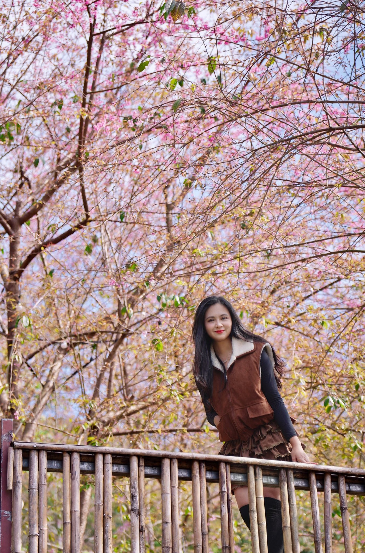 Vào những ngày cao điểm, nhiều bạn trẻ và gia đình chọn trang phục truyền thống hoặc áo dài để chụp ảnh giữa vườn mai anh đào. Các góc chụp được yêu thích là lối mòn uốn quanh triền đồi, nơi hoa phủ kín hai bên đường; hay khu ruộng bậc thang nhìn từ trên cao, nơi sắc hồng vàng xanh hòa quyện hài hòa. Khi nắng lên, bầu trời trong vắt càng làm nổi bật gam màu của hoa, tạo nên khung hình rực rỡ nhưng vẫn rất dịu dàng. Ảnh Oanh Đỗ