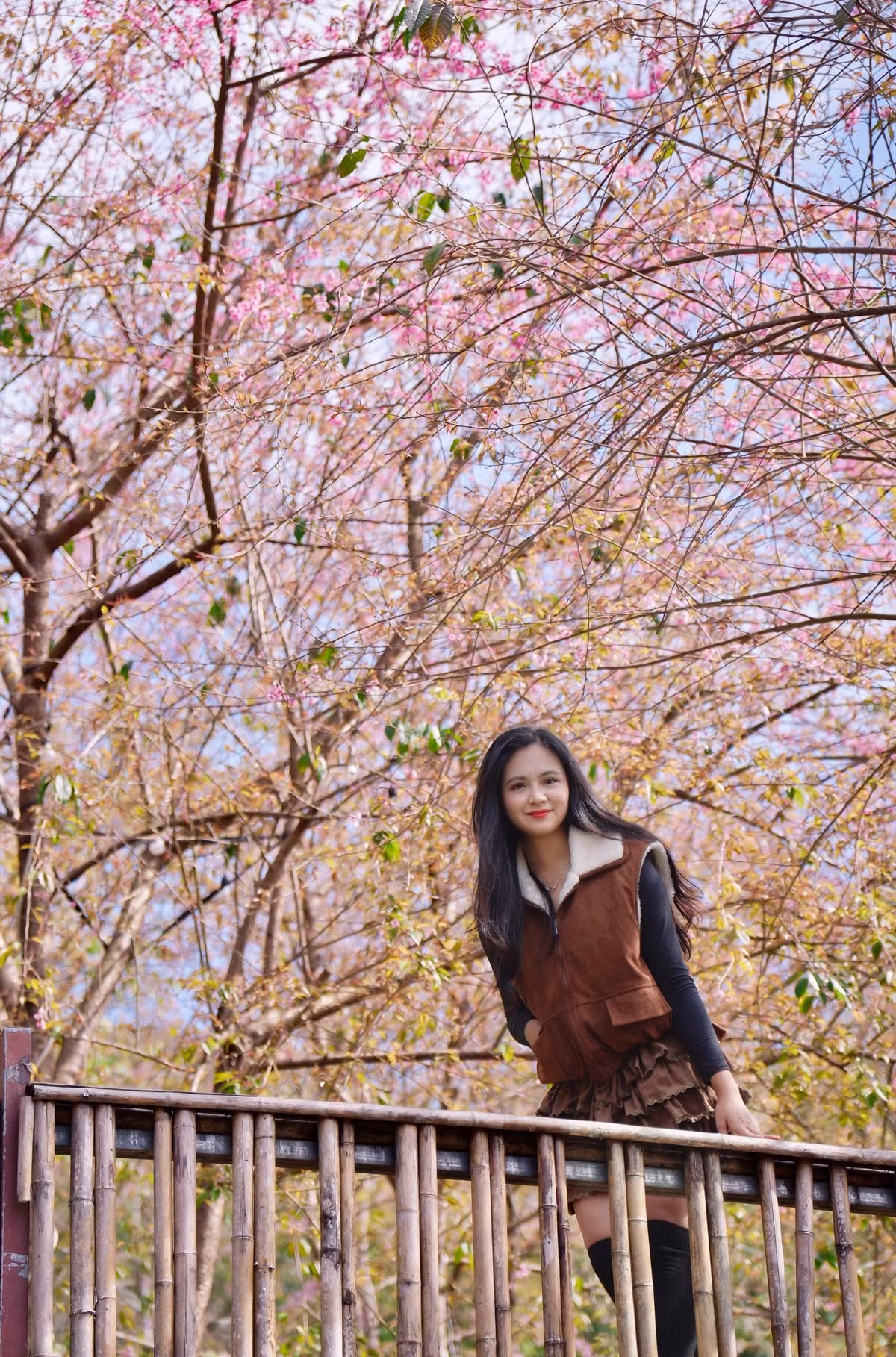 Vào những ngày cao điểm, nhiều bạn trẻ và gia đình chọn trang phục truyền thống hoặc áo dài để chụp ảnh giữa vườn mai anh đào. Các góc chụp được yêu thích là lối mòn uốn quanh triền đồi, nơi hoa phủ kín hai bên đường; hay khu ruộng bậc thang nhìn từ trên cao, nơi sắc hồng vàng xanh hòa quyện hài hòa. Khi nắng lên, bầu trời trong vắt càng làm nổi bật gam màu của hoa, tạo nên khung hình rực rỡ nhưng vẫn rất dịu dàng. Ảnh Oanh Đỗ