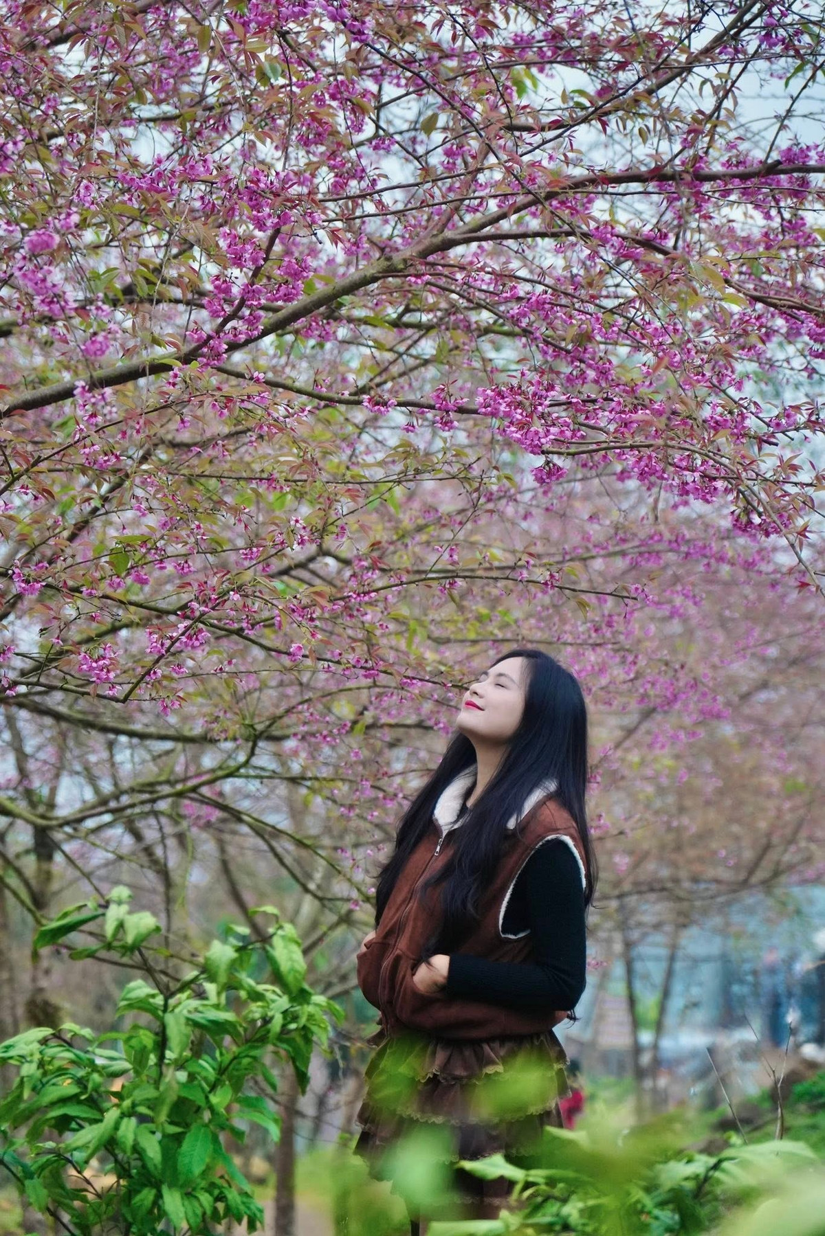 Du khách đến đây không chỉ để “săn ảnh” mà còn để tận hưởng cảm giác thư thái, hít hà hương rừng và cảm nhận mùa xuân đang về rất gần. Ảnh Oanh Đỗ