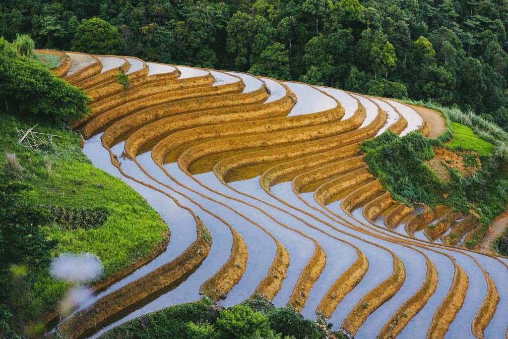 Không khí trong lành kết hợp với cảnh sắc hữu tình khiến nơi đây trở thành một thiên đường bình yên, nơi du khách có thể hòa mình vào thiên nhiên, thư giãn và tận hưởng khoảnh khắc tĩnh lặng. Ảnh Tà Xùa