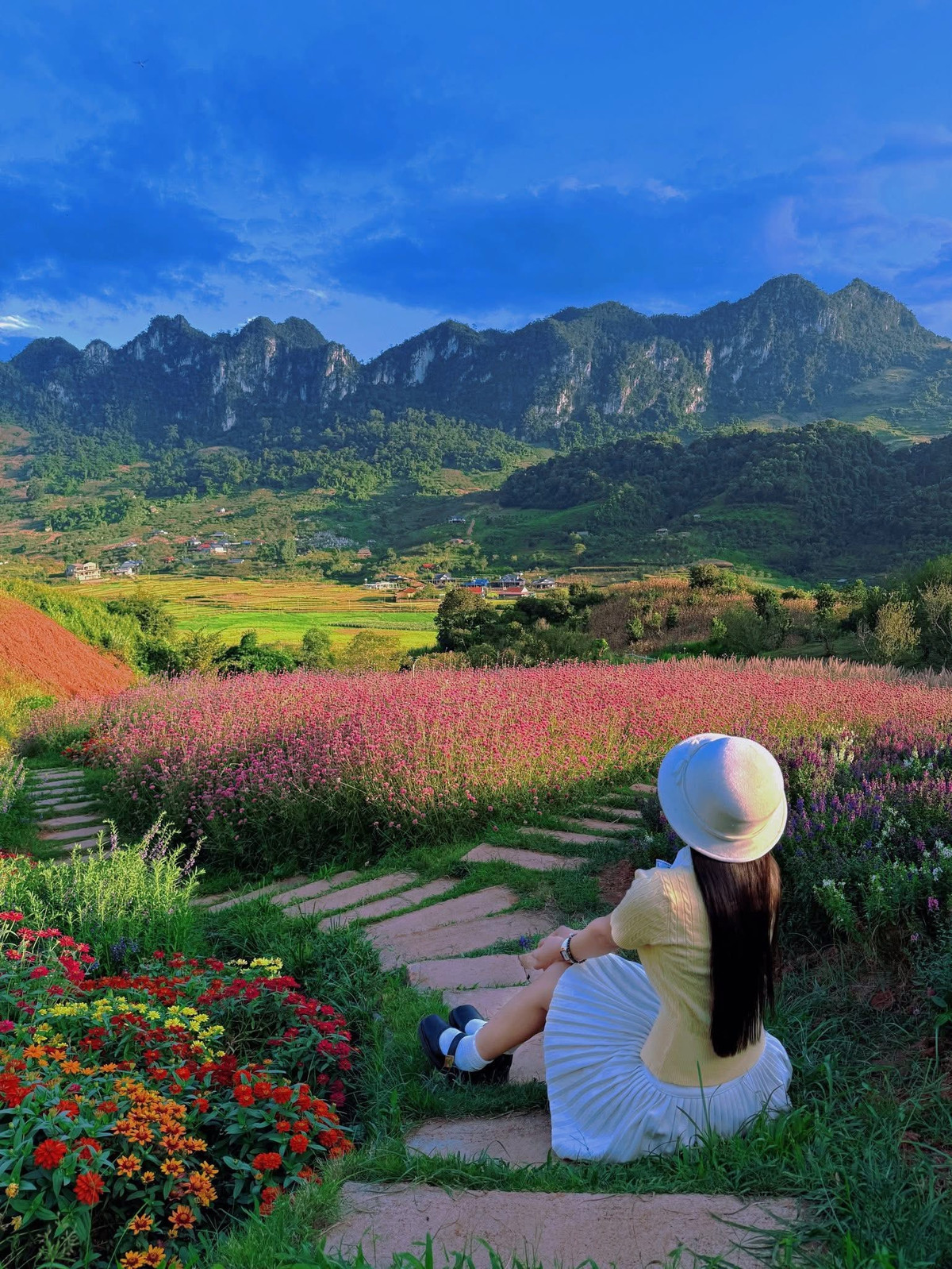 Tận dụng địa hình thung lũng rộng và thoáng đãng, chủ vườn đã khéo léo chia thành nhiều khu vực, mỗi nơi mang một sắc thái riêng, giúp du khách tha hồ lựa chọn góc chụp ảnh. Nguyễn Phương Phương