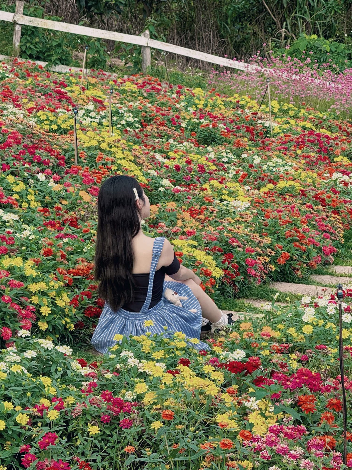 Điều đặc biệt ở điểm đến này là sự chăm chút tỉ mỉ cho từng khu hoa. Ảnh Khánh Linh