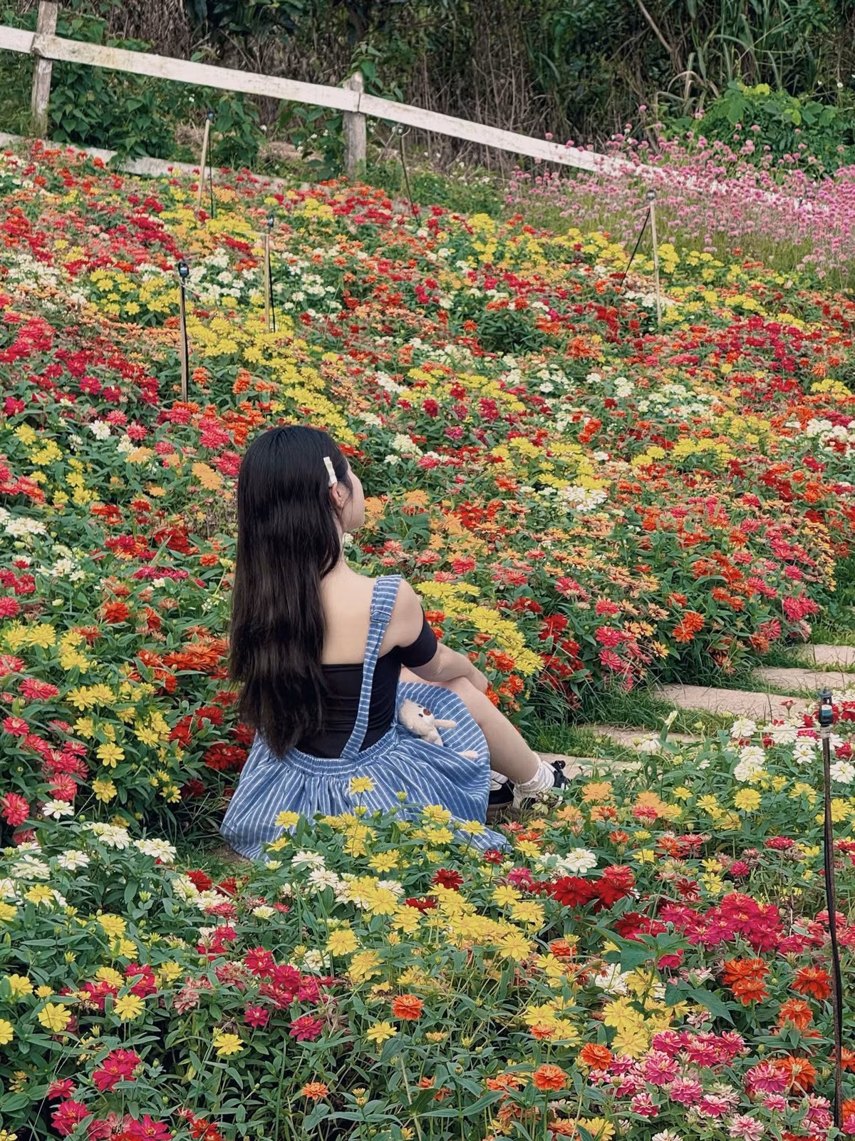 Điều đặc biệt ở điểm đến này là sự chăm chút tỉ mỉ cho từng khu hoa. Ảnh Khánh Linh