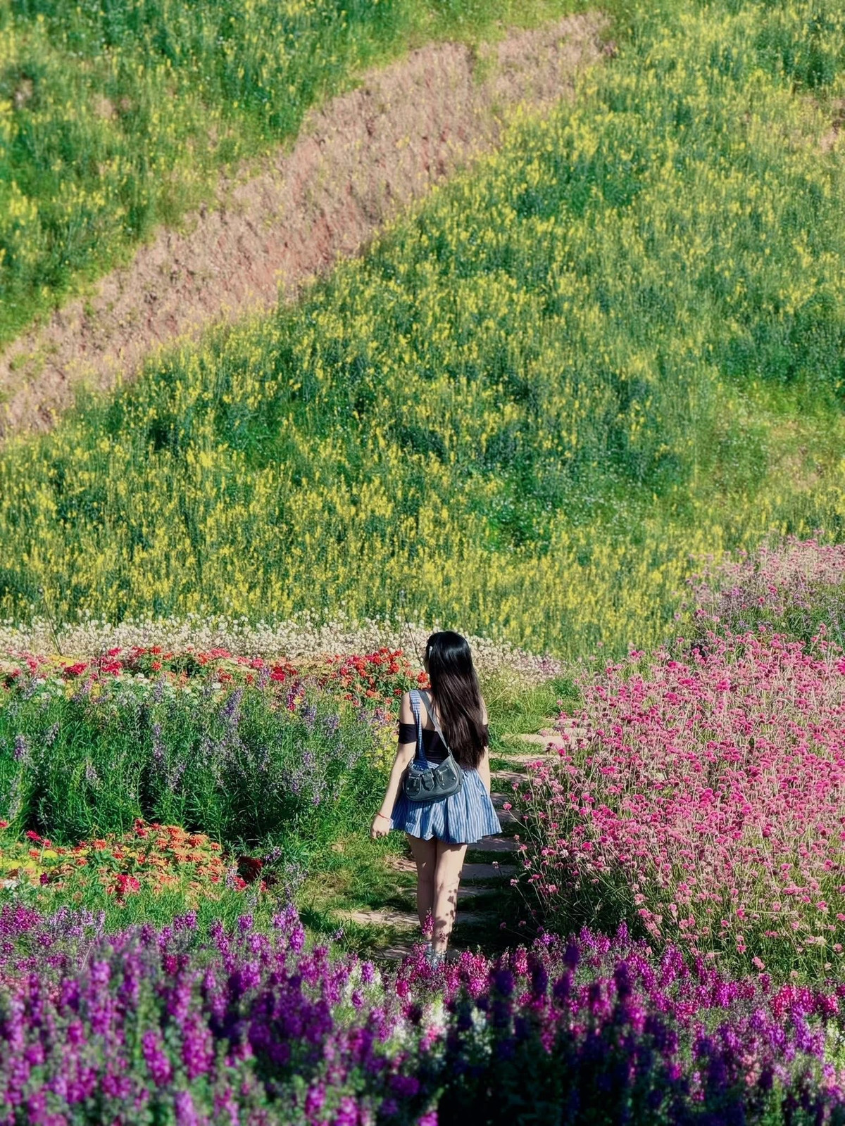 Tất cả hòa quyện tạo nên khung cảnh lãng mạn, lý tưởng để du khách thả hồn và lưu lại những khoảnh khắc đẹp. Ảnh Khánh Linh