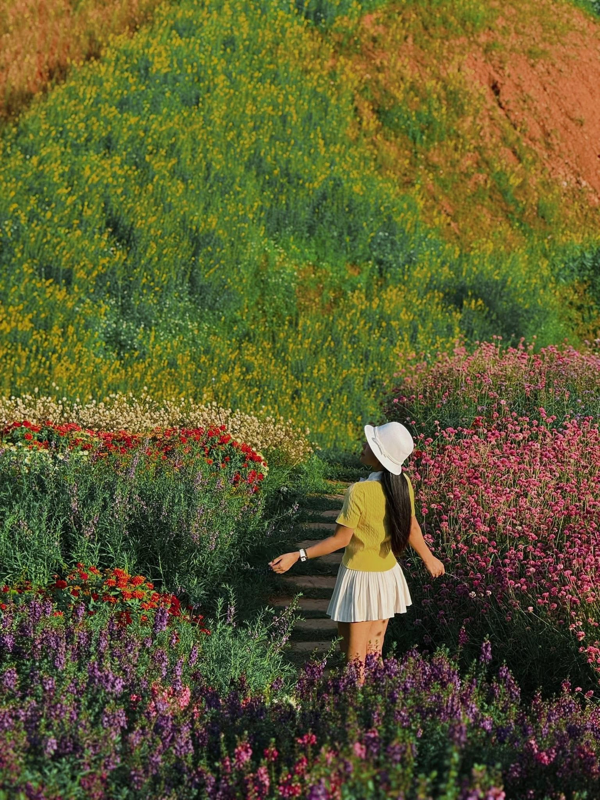 Du khách có thể thong dong dạo bước trên đồi hoa mã tiền thảo tím biếc, ngỡ ngàng trước những vườn cẩm tú cầu mát mắt, hay dừng lại bên triền cỏ lau trắng muốt bồng bềnh theo gió. Nguyễn Phương Phương