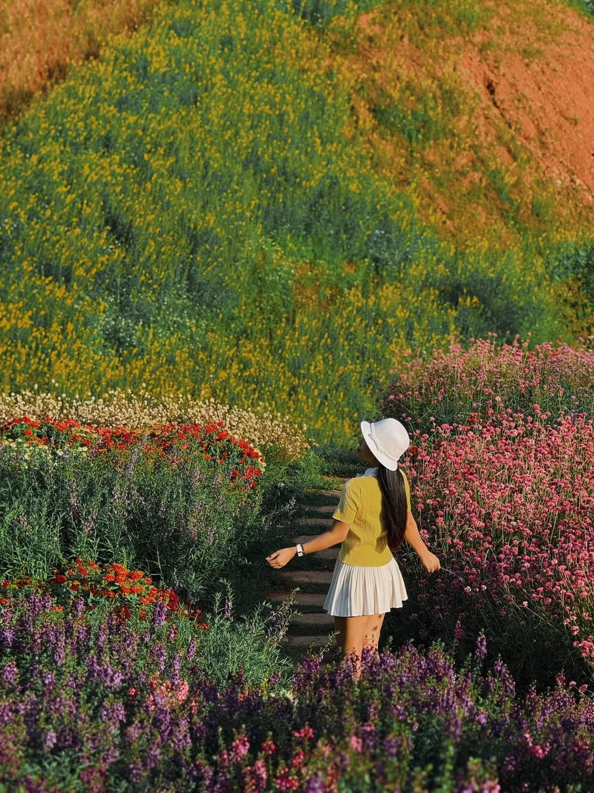 Du khách có thể thong dong dạo bước trên đồi hoa mã tiền thảo tím biếc, ngỡ ngàng trước những vườn cẩm tú cầu mát mắt, hay dừng lại bên triền cỏ lau trắng muốt bồng bềnh theo gió. Nguyễn Phương Phương