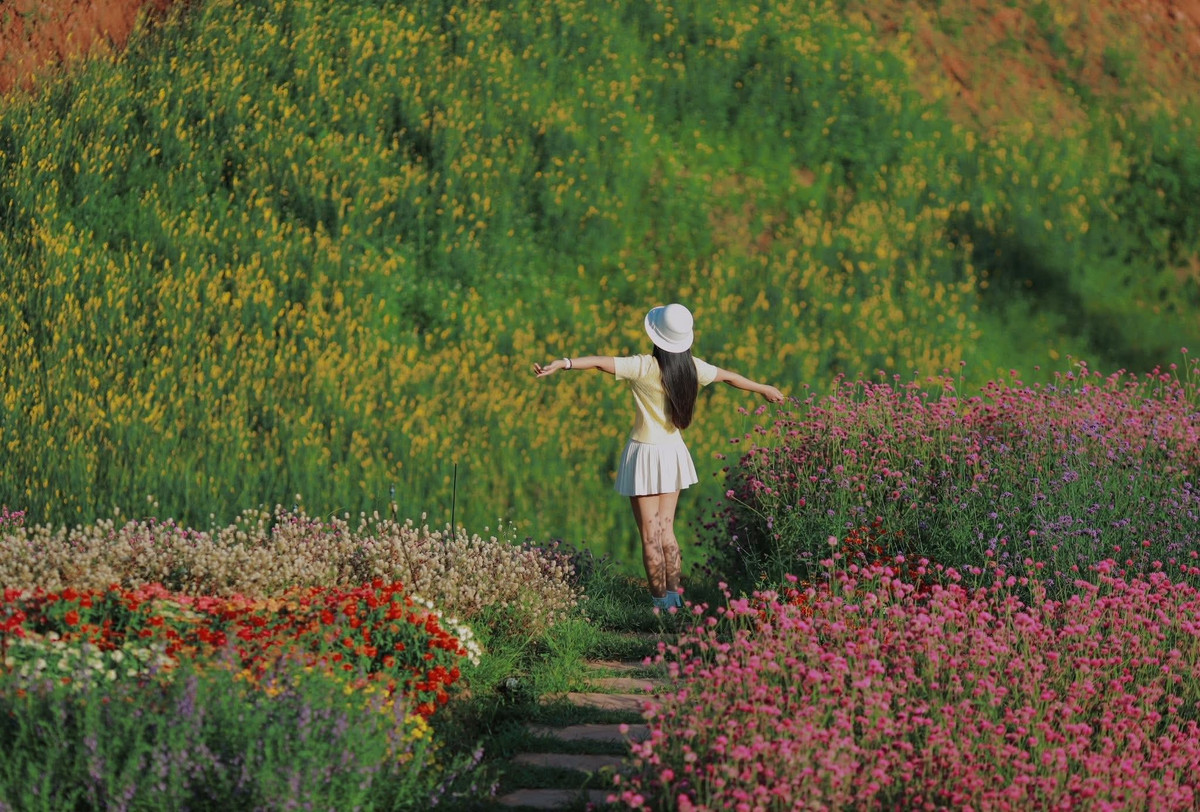 Nằm nép mình giữa thung lũng bản Lò Sườn, xã Mường Sang (Mộc Châu, Sơn La), Một Khu Vườn đang trở thành điểm đến được nhiều du khách tìm về để sống chậm, hít thở không khí trong lành và thỏa sức “sống ảo” bên những vạt hoa rực rỡ. Nguyễn Phương Phương