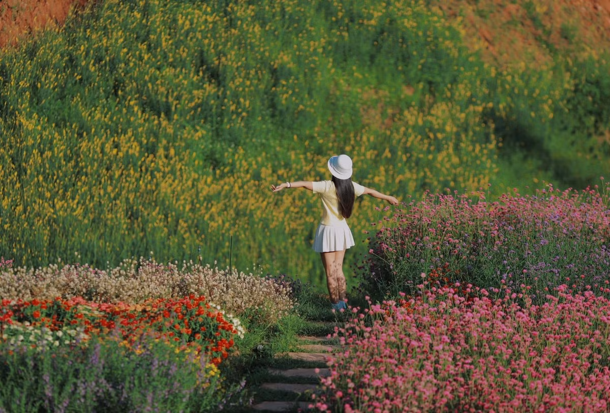 Nằm nép mình giữa thung lũng bản Lò Sườn, xã Mường Sang (Mộc Châu, Sơn La), Một Khu Vườn đang trở thành điểm đến được nhiều du khách tìm về để sống chậm, hít thở không khí trong lành và thỏa sức “sống ảo” bên những vạt hoa rực rỡ. Nguyễn Phương Phương