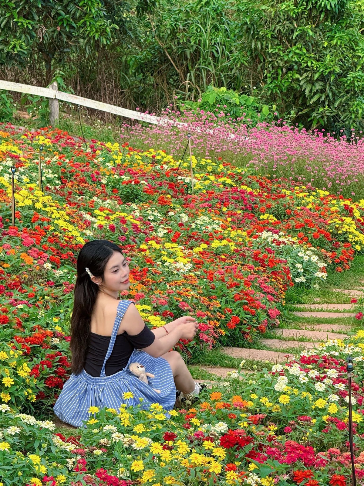 Không chỉ có sắc hoa, khuôn viên còn được bài trí thêm nhiều tiểu cảnh nhỏ nhắn như hàng rào trắng, ghế gỗ giữa đồi hay quán cà phê phong cách châu Âu. Ảnh Khánh Linh