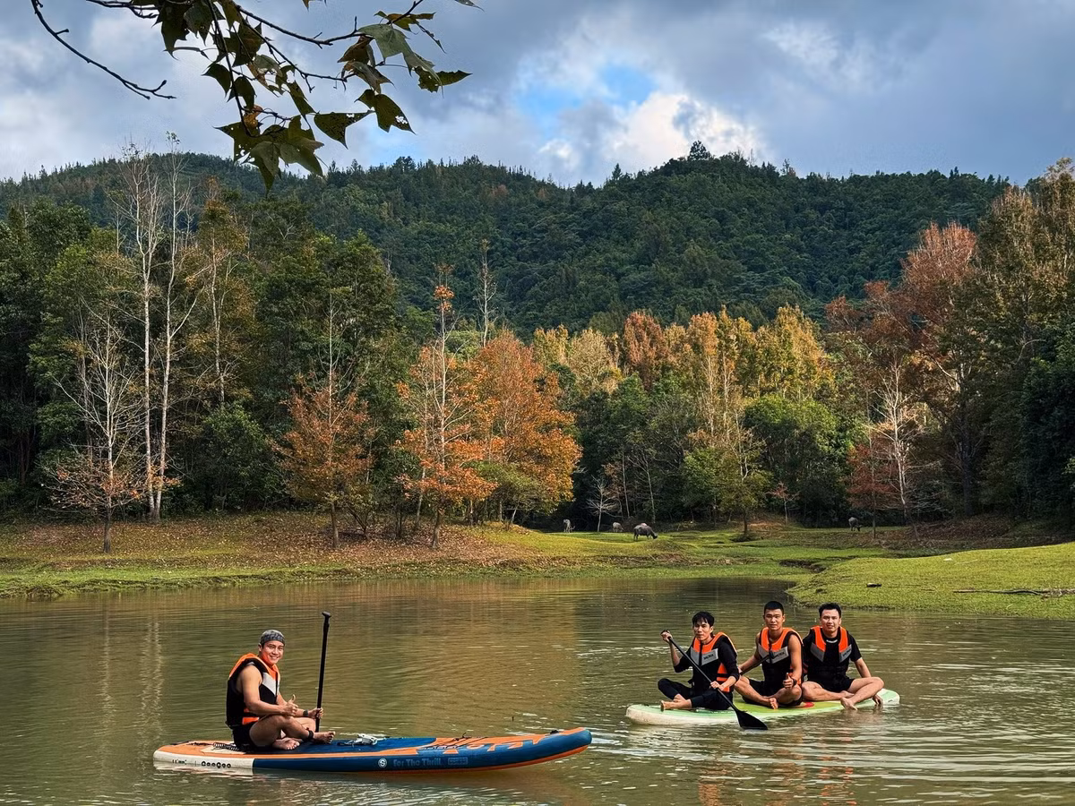 Du khách đến Rừng Phong Hương có thể kết hợp nhiều hoạt động thú vị. Ngoài việc ngắm cảnh và chụp ảnh, việc khám phá lòng hồ Rào Quán bằng thuyền hoặc SUP giúp du khách có góc nhìn toàn cảnh về khu rừng. Ảnh Trúc Dương
