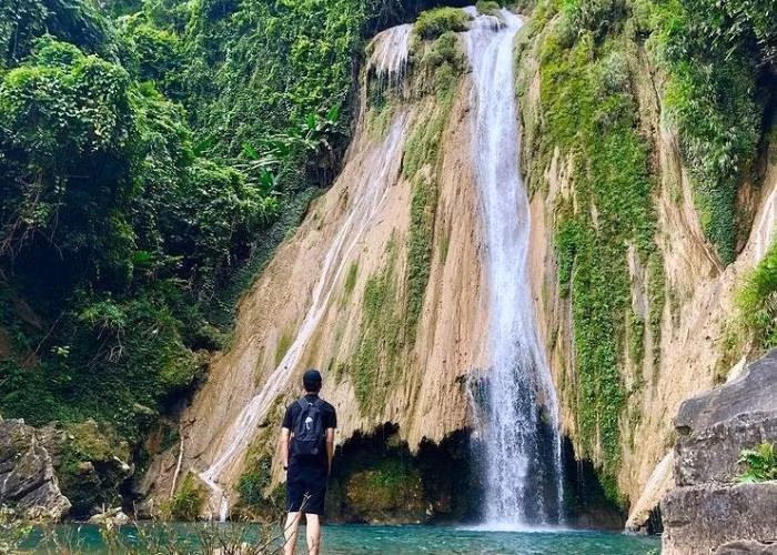 Vào những buổi sáng sớm hoặc sau mưa nhẹ, ánh sáng lọt qua tán cây càng khiến khung cảnh thêm phần huyền ảo. Ảnh LuhanhViet
