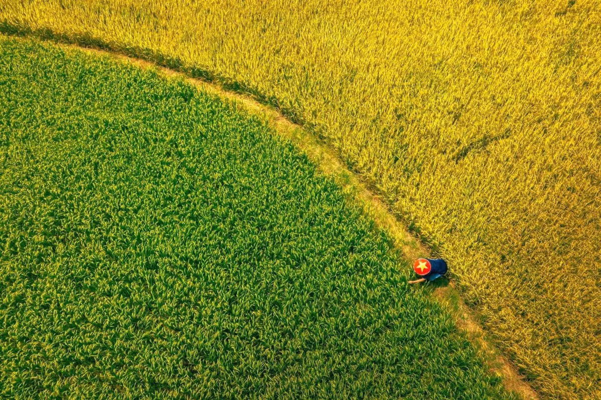 An Nhứt đẹp quanh năm, nhưng thời điểm lý tưởng nhất để ghé thăm là vào mùa lúa chín, rơi vào khoảng tháng 3–4 hoặc tháng 8–9.