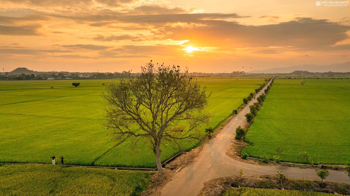Tất cả tạo nên một bức tranh đồng quê khiến người ta phải ngỡ ngàng vì quá đỗi bình yên và đẹp mắt. Ảnh Hiếu Nguyễn