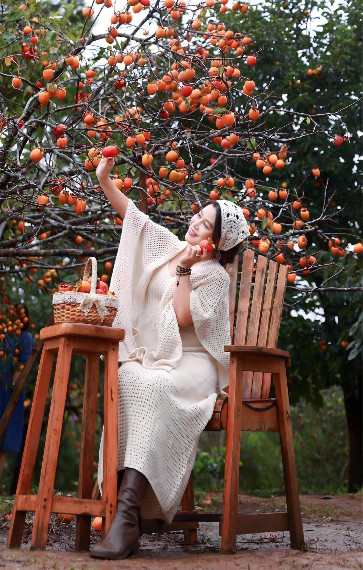 Đến Măng Đen mùa hồng, du khách không chỉ được ngắm cảnh mà còn có cơ hội trải nghiệm thu hoạch trực tiếp. Ảnh Tuấn Tour Măng Đen