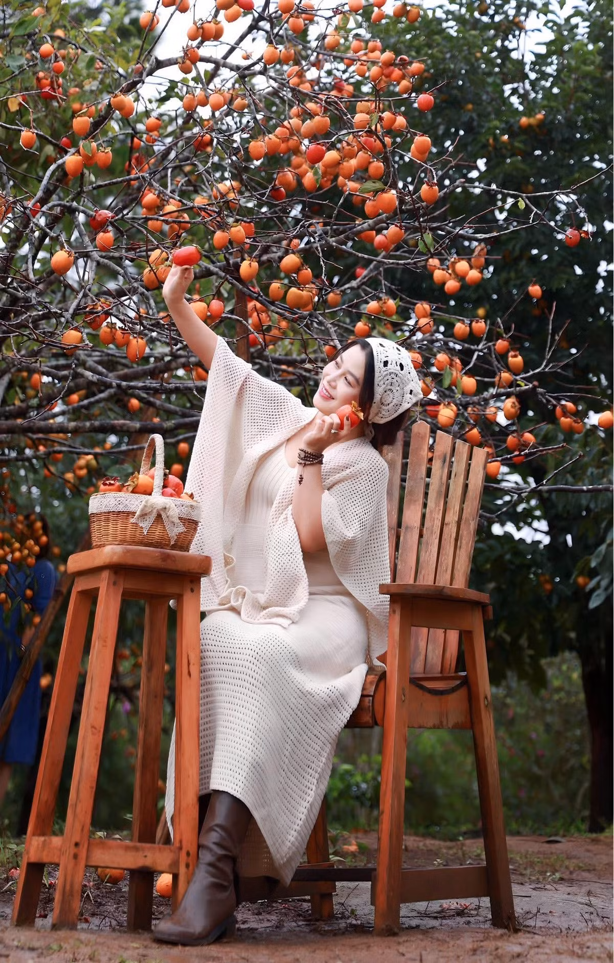 Đến Măng Đen mùa hồng, du khách không chỉ được ngắm cảnh mà còn có cơ hội trải nghiệm thu hoạch trực tiếp. Ảnh Tuấn Tour Măng Đen