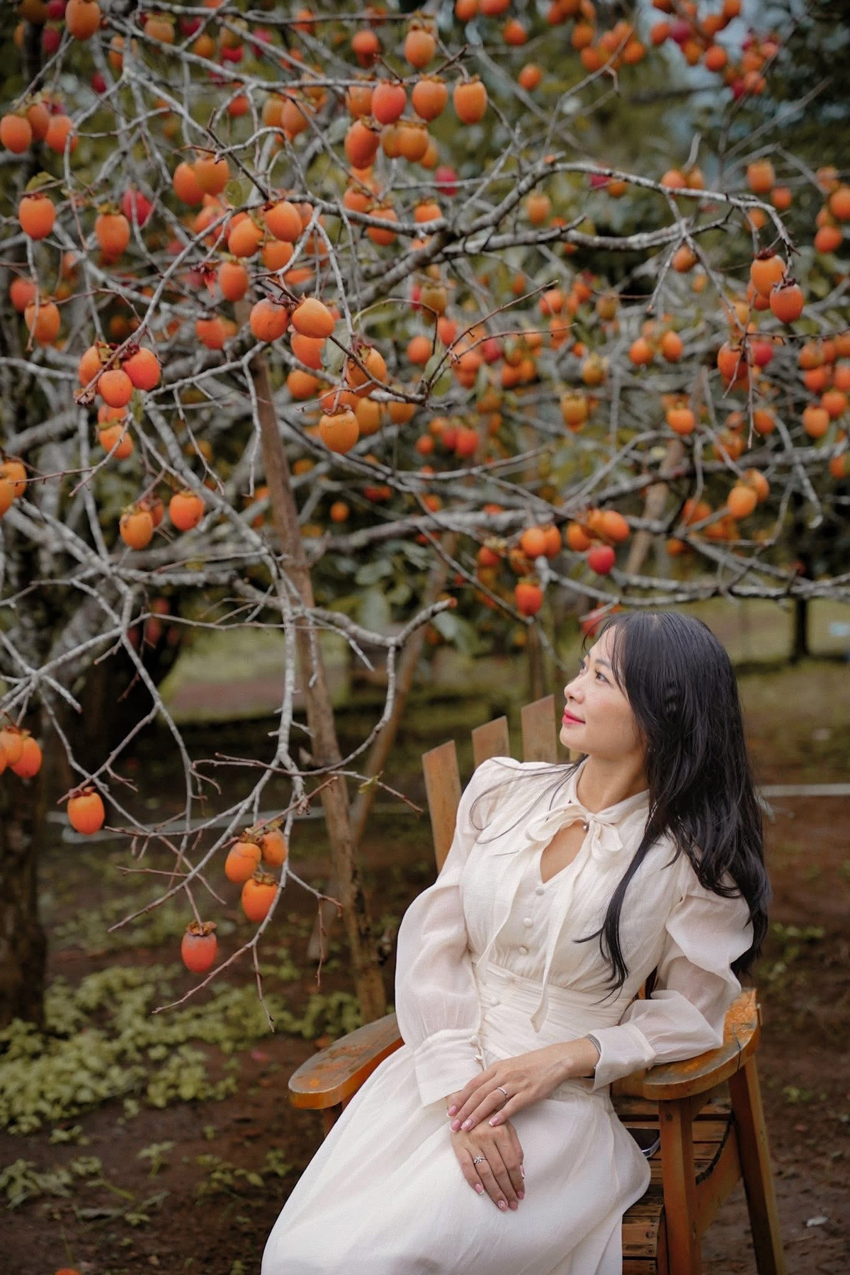 Măng Đen mùa thu không chỉ là điểm đến thưởng ngoạn mà còn là trải nghiệm văn hóa và ẩm thực độc đáo. Những vườn hồng vàng óng, giòn mát và trĩu quả trở thành biểu tượng mới của cao nguyên, níu chân du khách bằng màu sắc, hương vị và cảm giác gần gũi với thiên nhiên. Ảnh Lê Ái Quốc