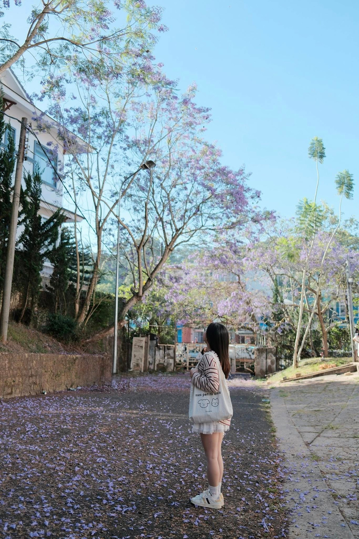 Không ít người mang theo máy ảnh, tai nghe, vừa tản bộ vừa ghi lại khoảnh khắc mùa hoa theo cách riêng, tạo nên bức tranh du lịch rất đời thường nhưng đầy cảm xúc.