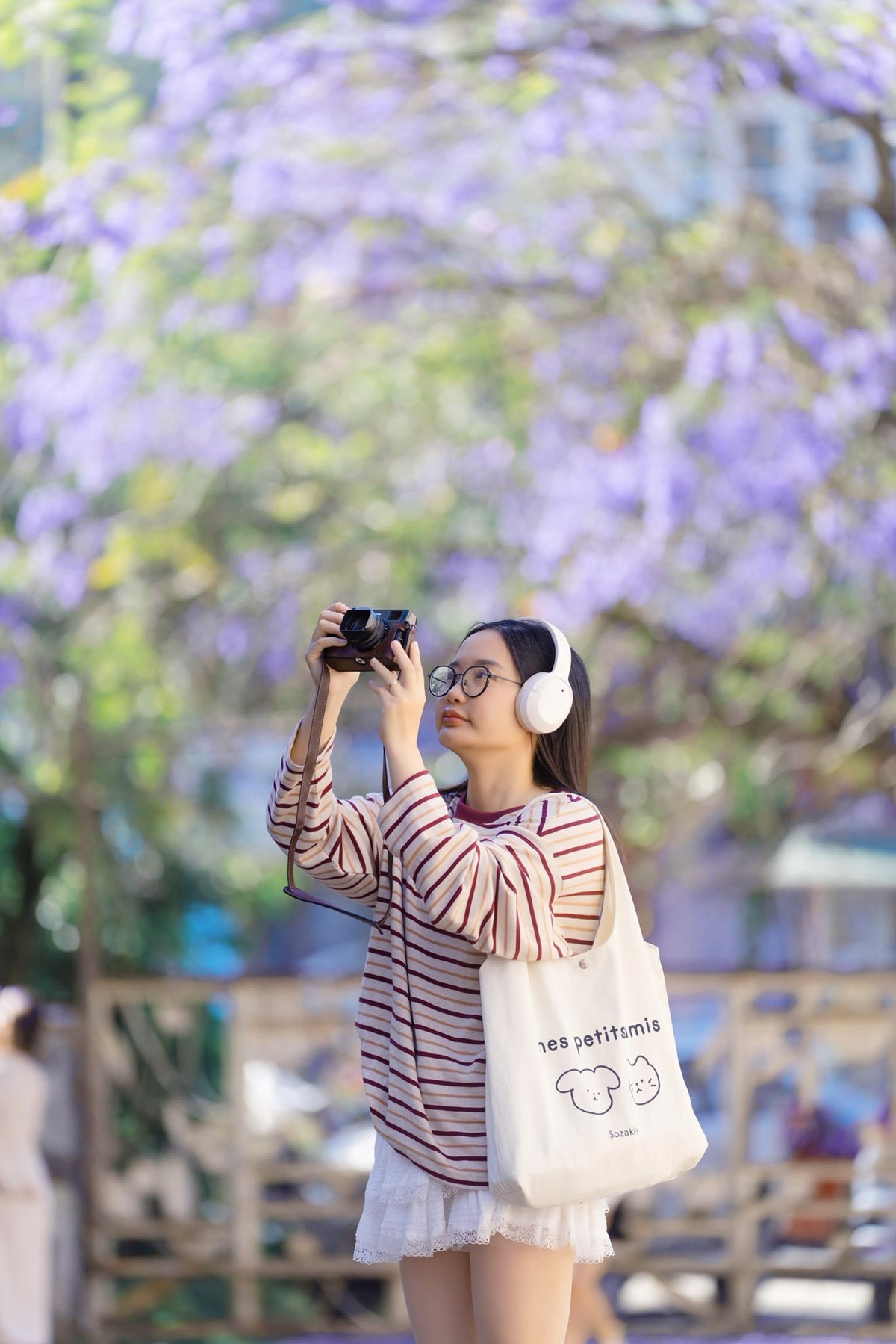 Mỗi độ đầu năm, Đà Lạt lại khiến du khách say lòng khi khoác lên mình sắc tím dịu dàng của mùa phượng tím. Không rực rỡ như mai anh đào hay hướng dương, phượng tím mang vẻ đẹp lãng mạn, trầm lắng, trở thành một trong những mùa hoa được mong chờ nhất tại “thành phố ngàn hoa”.