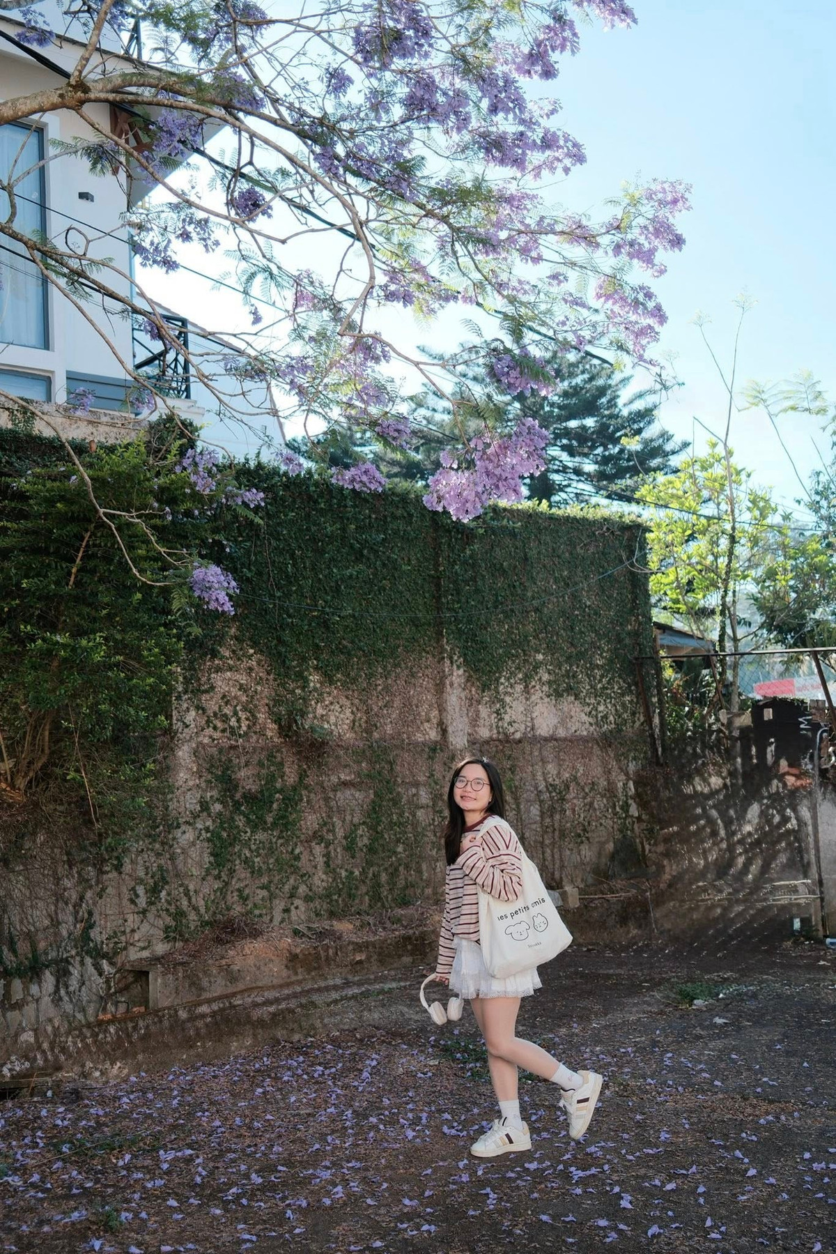 Mùa phượng tím thường bắt đầu từ khoảng tháng 2 và kéo dài đến tháng 4, tùy theo thời tiết từng năm. Thời điểm hoa nở đẹp nhất là khi trời bước vào đầu mùa khô, bầu trời trong xanh, nắng nhẹ và không khí vẫn còn se lạnh. Đây cũng là lúc sắc tím hiện lên rõ nét và thơ mộng nhất, đặc biệt vào buổi sáng sớm hoặc cuối chiều – thời điểm lý tưởng để dạo phố và chụp ảnh.