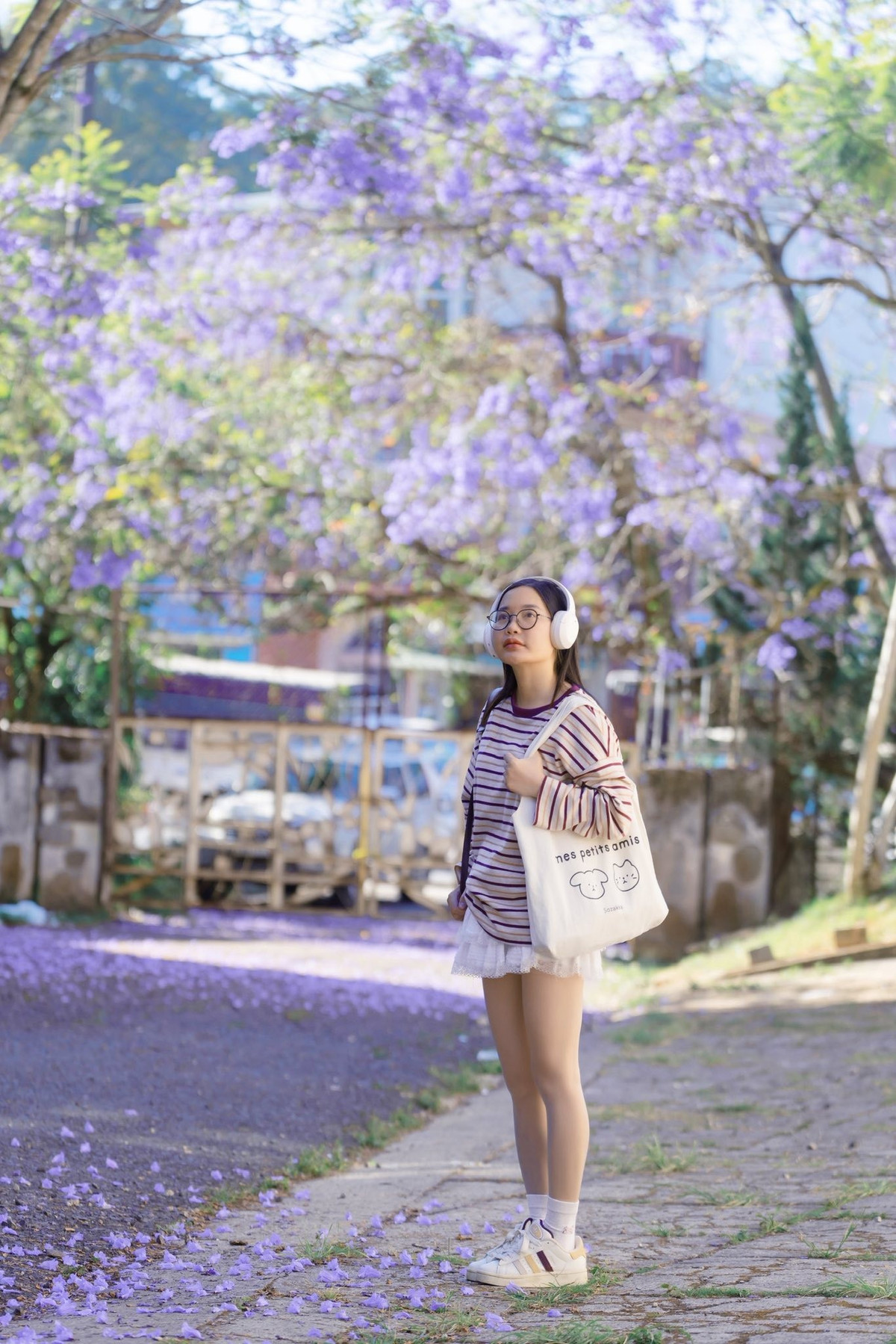 Không giống vẻ rực rỡ của các mùa hoa khác, phượng tím mang đến một Đà Lạt rất riêng chậm rãi, lãng đãng và đầy chất thơ. Những con dốc quen thuộc, bức tường cũ hay hàng rào đá phủ rêu bỗng trở nên nên thơ hơn khi được điểm xuyết bởi sắc tím mộng mơ. Chính sự dung dị ấy khiến nhiều du khách tìm đến Đà Lạt vào mùa này không chỉ để ngắm hoa mà còn để tận hưởng cảm giác bình yên hiếm có.