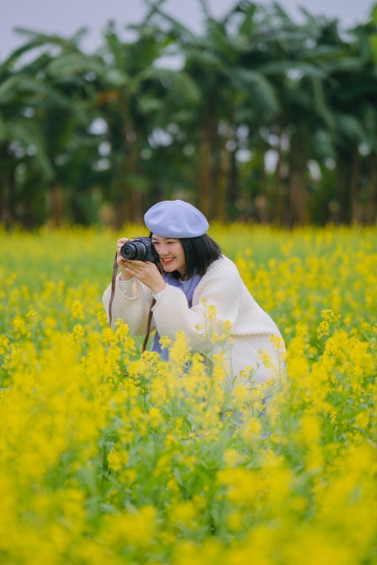 Một chuyến ghé thăm cánh đồng hoa cải không chỉ giúp du khách có những bức ảnh “check-in” đẹp mắt, mà còn mang lại cảm giác bình yên hiếm có giữa lòng thủ đô nhộn nhịp. Ảnh Hồ Thiên Nga