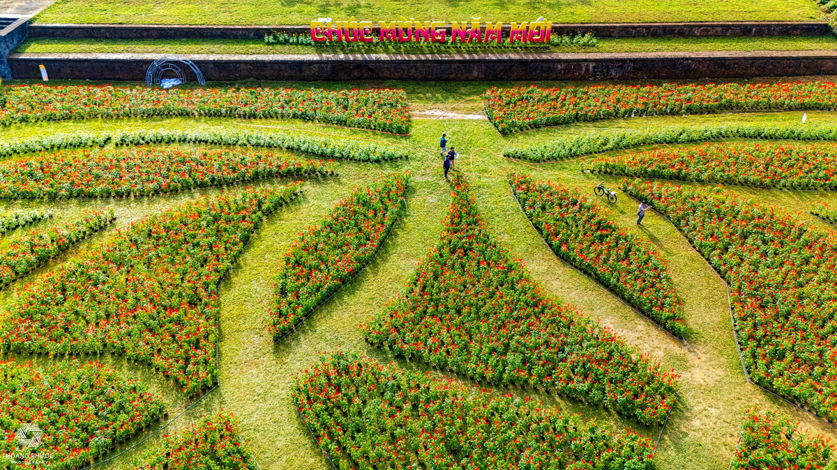 Mỗi cánh sen là sự kết hợp hài hòa của nhiều chậu hoa nhỏ, được tính toán kỹ lưỡng về màu sắc, độ cao và góc nhìn, để khi quan sát từ bất kỳ vị trí nào, tổng thể công trình vẫn giữ được vẻ cân đối, cuốn hút. Ảnh Hoàng Phước