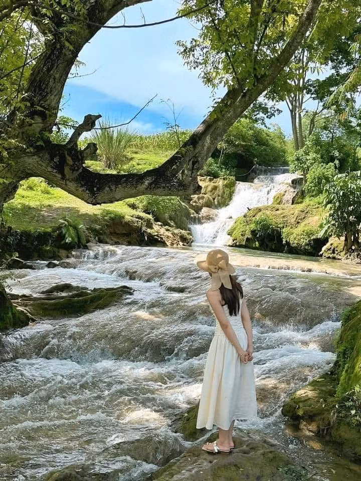 Từ tháng 8 đến cuối năm là mùa hồng – khi những quả hồng giòn vàng ươm đong đưa trong nắng sớm, rồi chuyển sang hồng chát đỏ thắm khi tiết trời sang đông. Tháng 11, hoa cải trắng nở tinh khôi phủ kín triền đồi, để rồi đến tháng 12, dã quỳ lại rực vàng khắp cao nguyên. Mỗi mùa, Mộc Châu lại dịu dàng theo một cách khác, khiến người ta muốn quay lại mãi. Ảnh Tú Anh