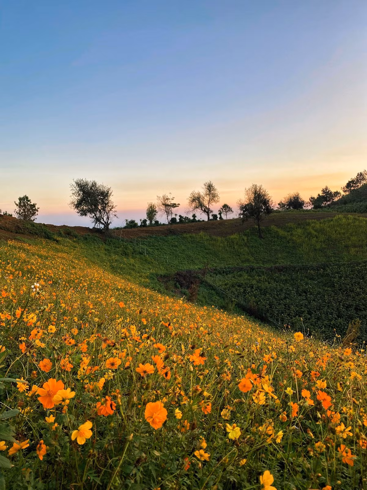 Vùng đất nằm chênh vênh giữa mây trời Tây Bắc này đang trở thành điểm đến được giới trẻ săn lùng bởi cảnh sắc lãng mạn và hoang sơ bậc nhất Việt Nam. Ảnh Tà Xùa Village