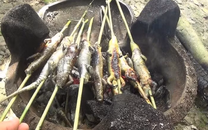 Không chỉ là món ăn, rắn mối còn là một phần trong đời sống thường nhật của người dân miền Tây. Những buổi chiều bên chái bếp, quanh mâm cơm khói nghi ngút, món rắn mối nướng dân dã góp phần tạo nên một không gian ấm cúng, mộc mạc mà đậm đà tình nghĩa.