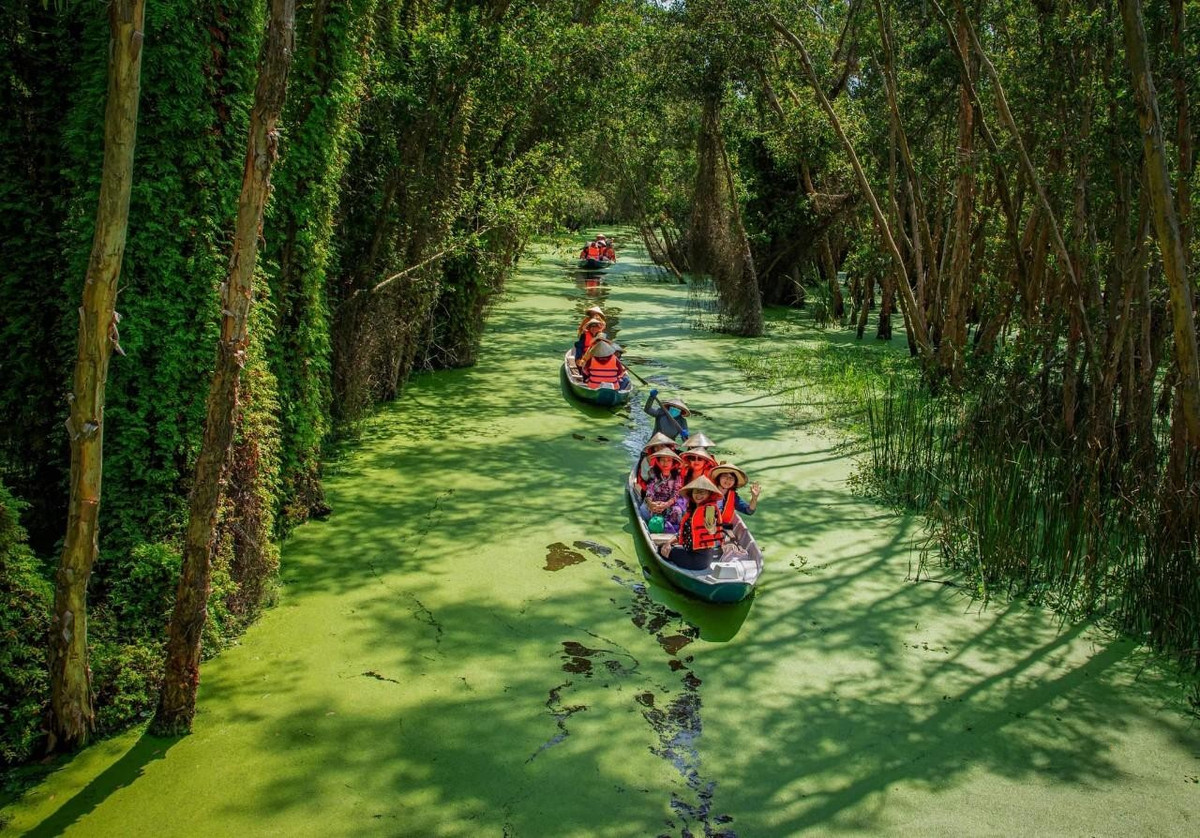 Đến làng nổi Tân Lập, du khách có thể ngồi xuồng ba lá, thong thả len lỏi qua những con rạch nhỏ uốn lượn xuyên rừng. Mỗi nhịp chèo khẽ khàng đưa du khách đi sâu vào không gian tĩnh lặng, nơi chỉ còn tiếng gió, tiếng chim và hương tràm thoang thoảng một trải nghiệm được nhiều người ví như liều “vitamin thiên nhiên” cho tâm hồn. Ảnh Du lịch làng nổi Tân Lập