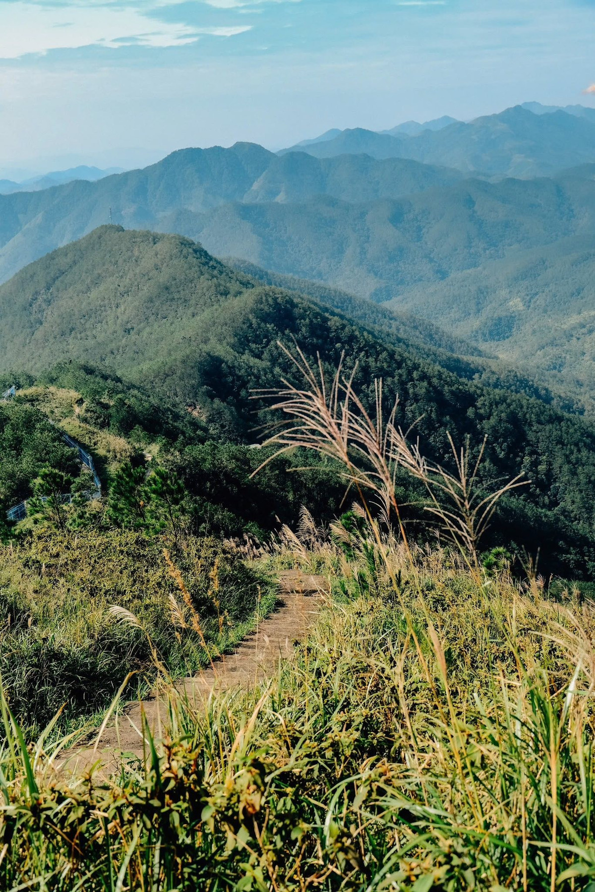View - ‘Săn’ cỏ lau Bình Liêu, chọn tour nào để tận hưởng cảnh sắc tuyệt đẹp | Báo Tri thức và Cuộc sống - TIN TỨC PHỔ BIẾN KIẾN THỨC 24H