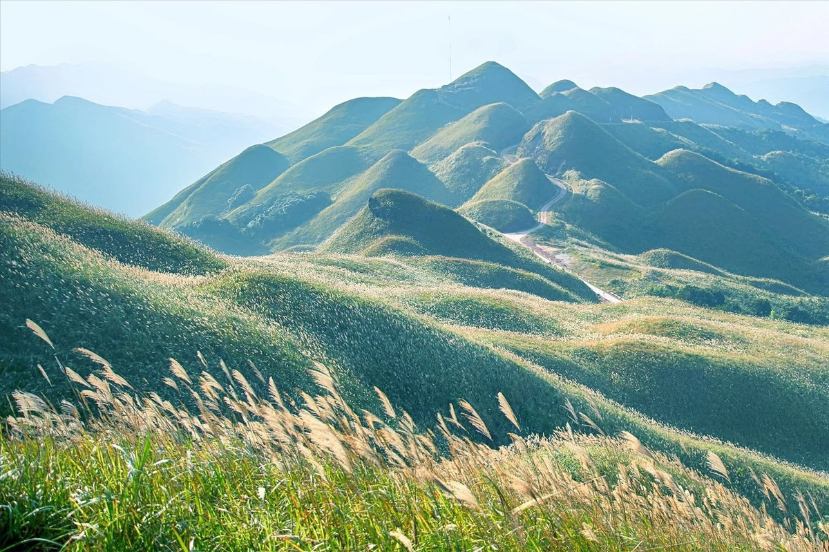 View - ‘Săn’ cỏ lau Bình Liêu, chọn tour nào để tận hưởng cảnh sắc tuyệt đẹp | Báo Tri thức và Cuộc sống - TIN TỨC PHỔ BIẾN KIẾN THỨC 24H