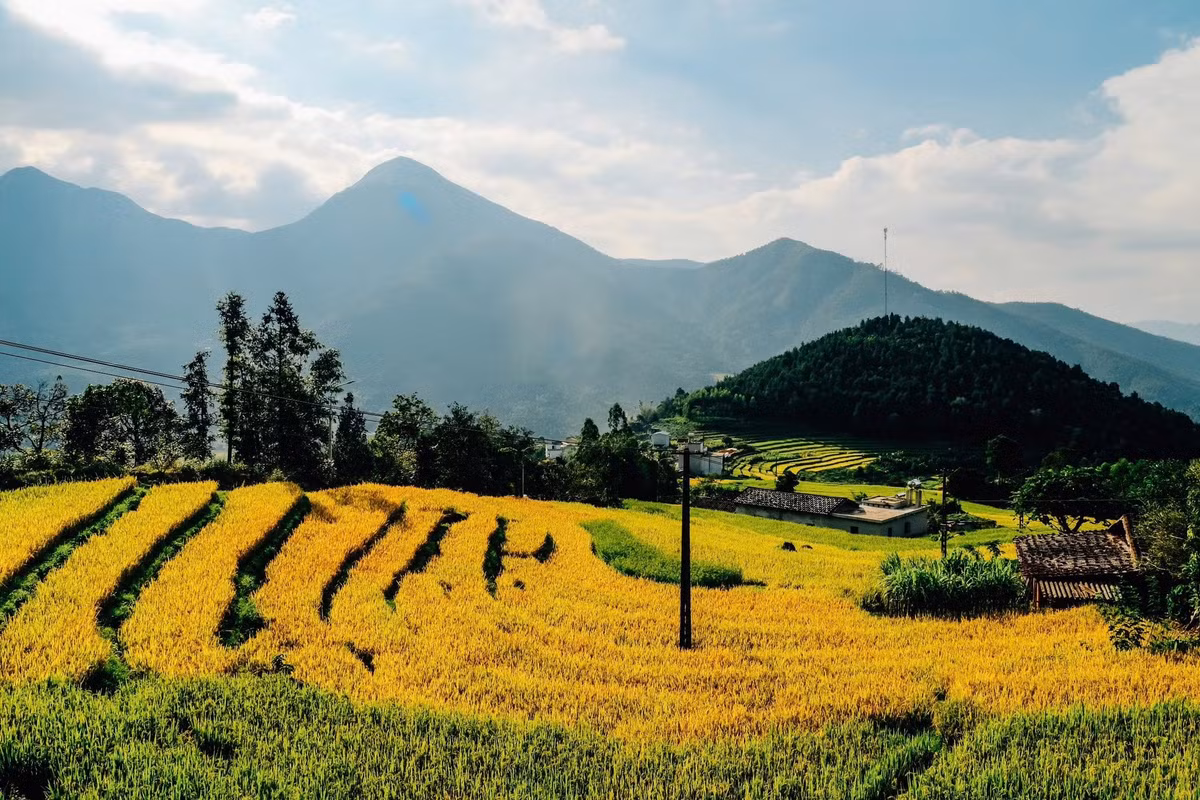 PT Travel cũng có tour 2 ngày 1 đêm, giá từ 2.320.000 VNĐ/người, trẻ em 6–9 tuổi 1.740.000 VNĐ và miễn phí cho trẻ em dưới 5 tuổi, bao gồm xe đời mới, khách sạn tiêu chuẩn, bữa ăn, hướng dẫn viên và bảo hiểm du lịch. Ảnh Huyền