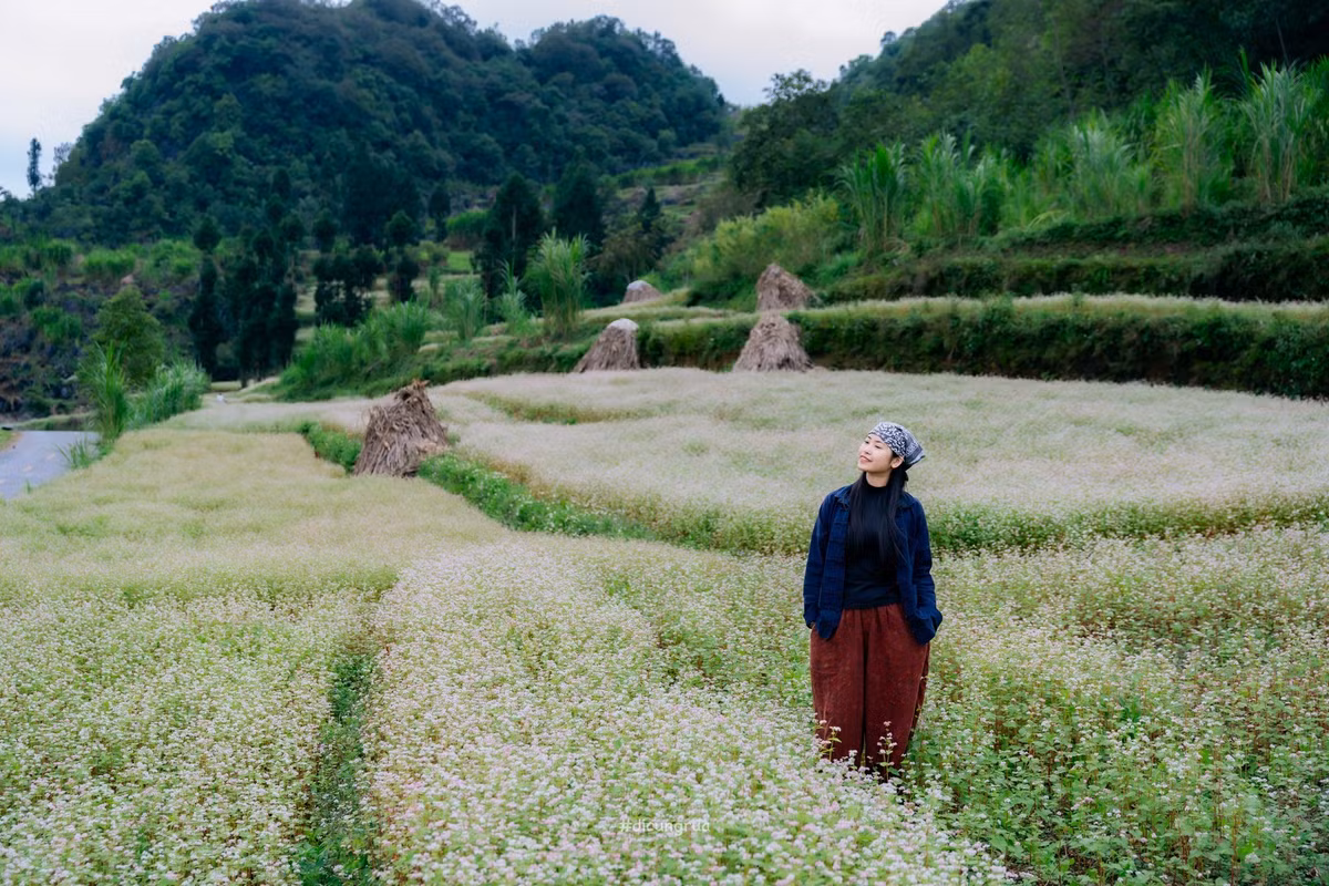 Du khách có thể đi dạo trên các con đường mòn nhỏ, khám phá các bản làng dân tộc gần đó, tìm hiểu đời sống và văn hóa truyền thống của người Dao, Tày, Nùng…Ảnh Lang thang Hà Giang