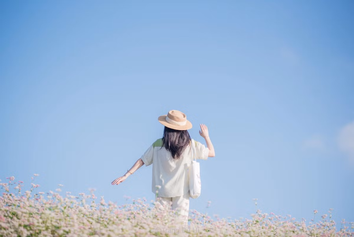 Giữa tháng 11, miền cao nguyên đá phía Bắc khoác lên mình sức sống mới khi hoa tam giác mạch nở rộ trên các triền núi Tuyên Quang. Làn sương mỏng buổi sáng tan dần, để lộ những thảm hoa hồng phớt kéo dài bất tận, tạo nên khung cảnh dịu dàng giữa vùng núi đá khắc nghiệt. Ảnh Lang thang Hà Giang