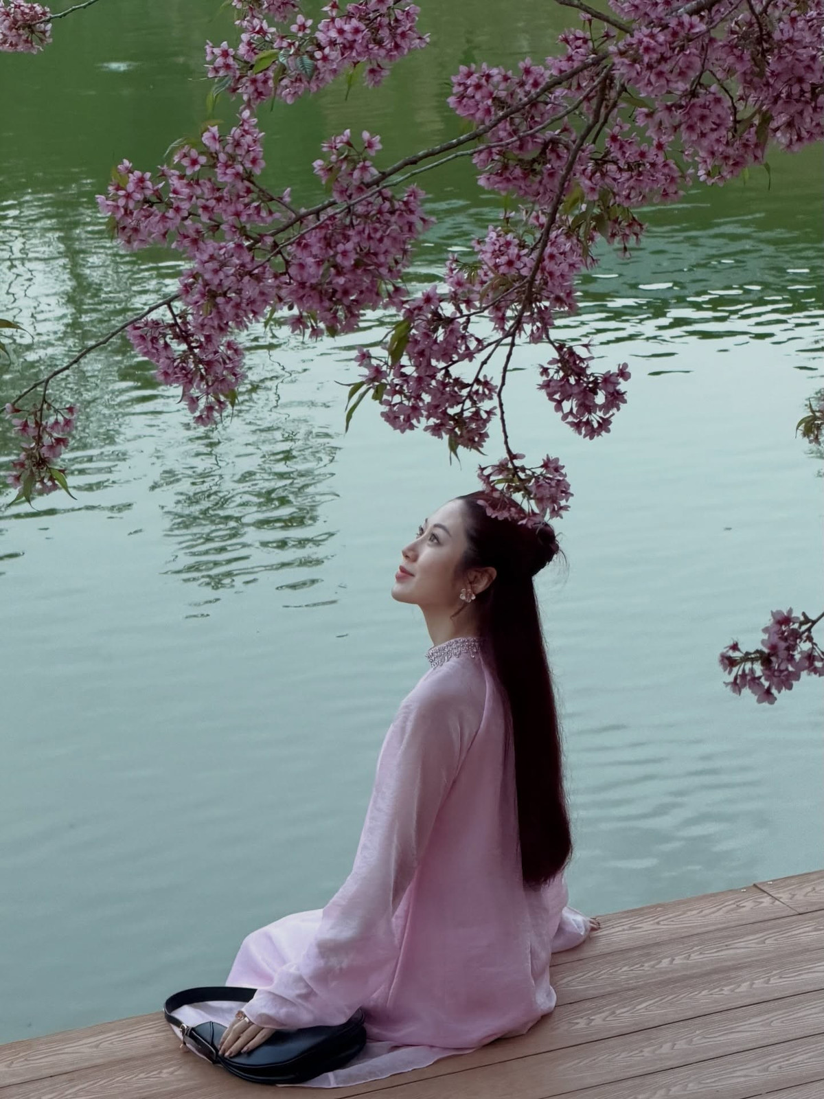 Mai anh đào từ lâu đã trở thành biểu tượng của mùa xuân Đà Lạt. Tuy nhiên, giữa nhiều cung đường quen thuộc, cây mai anh đào "hoàng hậu" trên đường Tự Tạo vẫn tạo nên dấu ấn riêng nhờ vẻ đẹp tròn đầy và không gian yên bình bao quanh. Một buổi sáng đứng dưới tán hoa hồng rực, cảm nhận cái lạnh nhẹ của cao nguyên và ngắm nhìn mặt hồ lặng sóng, du khách sẽ hiểu vì sao nơi đây được xem là điểm hẹn không thể bỏ lỡ mỗi khi xuân về. Ảnh Mai Vân Trang