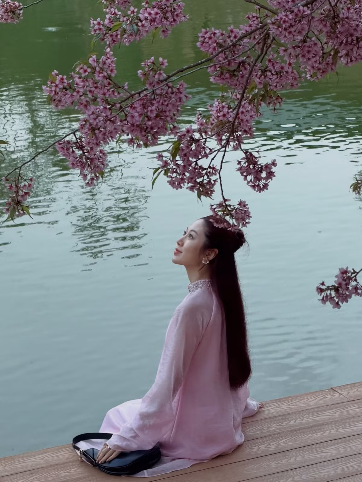 Mai anh đào từ lâu đã trở thành biểu tượng của mùa xuân Đà Lạt. Tuy nhiên, giữa nhiều cung đường quen thuộc, cây mai anh đào "hoàng hậu" trên đường Tự Tạo vẫn tạo nên dấu ấn riêng nhờ vẻ đẹp tròn đầy và không gian yên bình bao quanh. Một buổi sáng đứng dưới tán hoa hồng rực, cảm nhận cái lạnh nhẹ của cao nguyên và ngắm nhìn mặt hồ lặng sóng, du khách sẽ hiểu vì sao nơi đây được xem là điểm hẹn không thể bỏ lỡ mỗi khi xuân về. Ảnh Mai Vân Trang