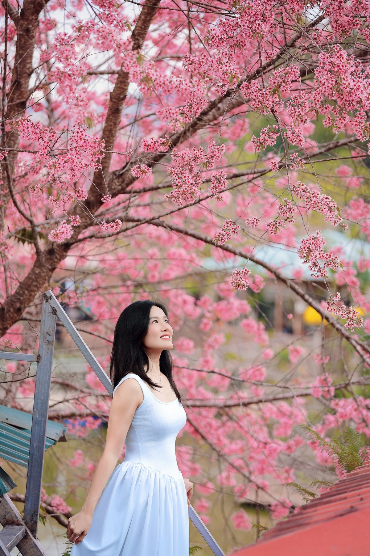 Chỉ cần chọn trang phục tông trắng, pastel hay đỏ nổi bật, bạn đã có thể sở hữu những bức ảnh đậm chất Đà Lạt. Ảnh Trương Viết Ngọc