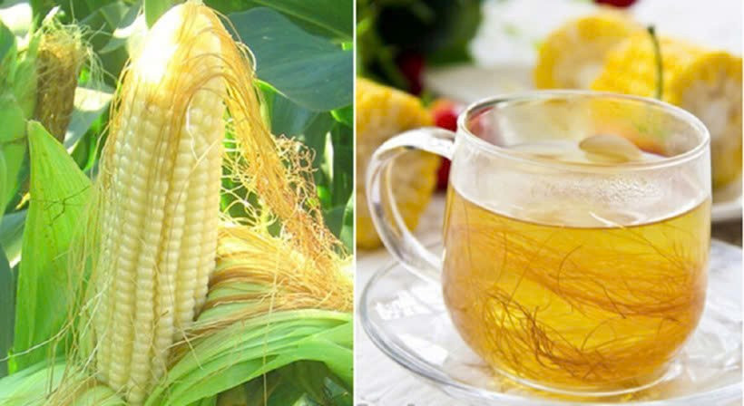 Những thành phần này có khả năng chống oxy hóa, giảm viêm mức độ nhẹ và hỗ trợ quá trình bài tiết nước tiểu sinh lý – cơ chế quan trọng giúp thận đào thải chất cặn hiệu quả hơn. Ảnh minh họa