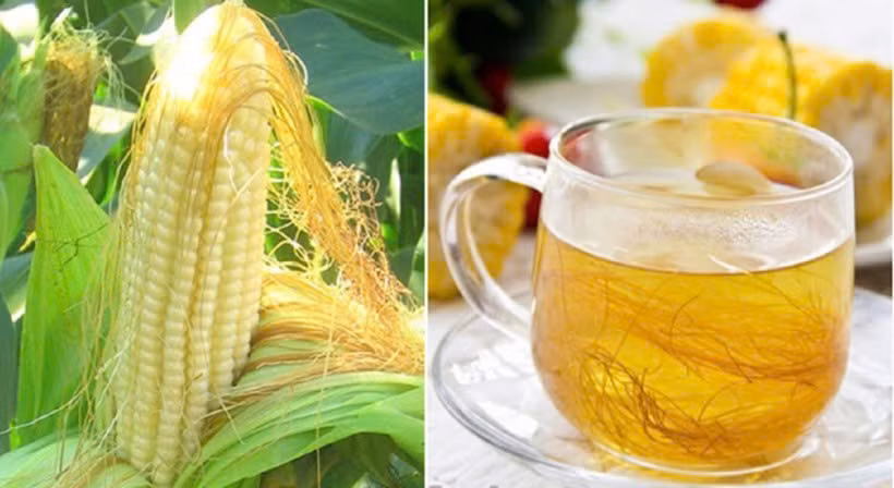 Những thành phần này có khả năng chống oxy hóa, giảm viêm mức độ nhẹ và hỗ trợ quá trình bài tiết nước tiểu sinh lý – cơ chế quan trọng giúp thận đào thải chất cặn hiệu quả hơn. Ảnh minh họa