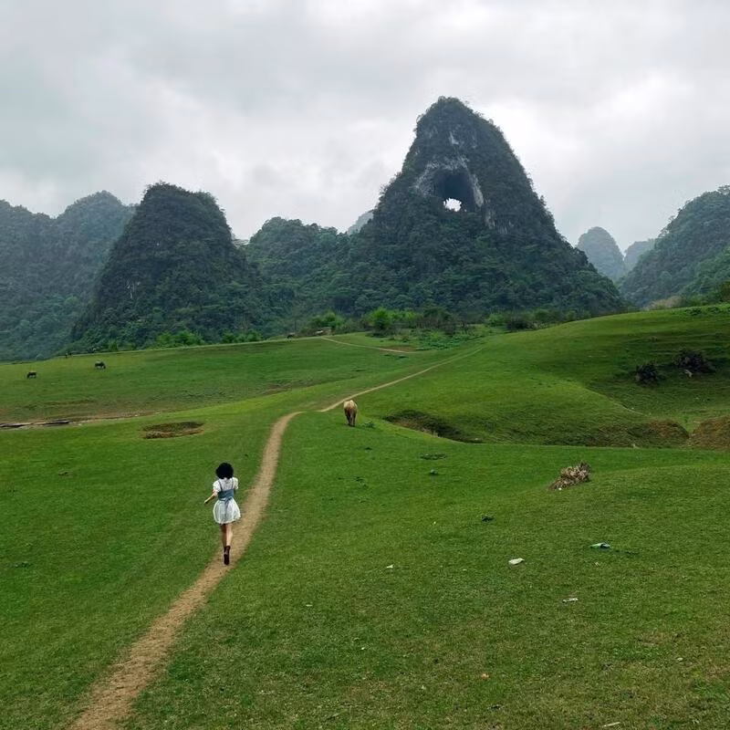 Khoảng thời gian từ tháng 9 đến tháng 3 năm sau là mùa khô, thích hợp nhất để cắm trại tại núi Mắt Thần. Lúc này cỏ non phủ xanh thung lũng, thời tiết mát mẻ, cảnh vật trong lành. Mùa nước (tháng 5–8) có thể đẹp nhưng cần lưu ý mưa lớn và nguy cơ trơn trượt. Ảnh Tico Travel