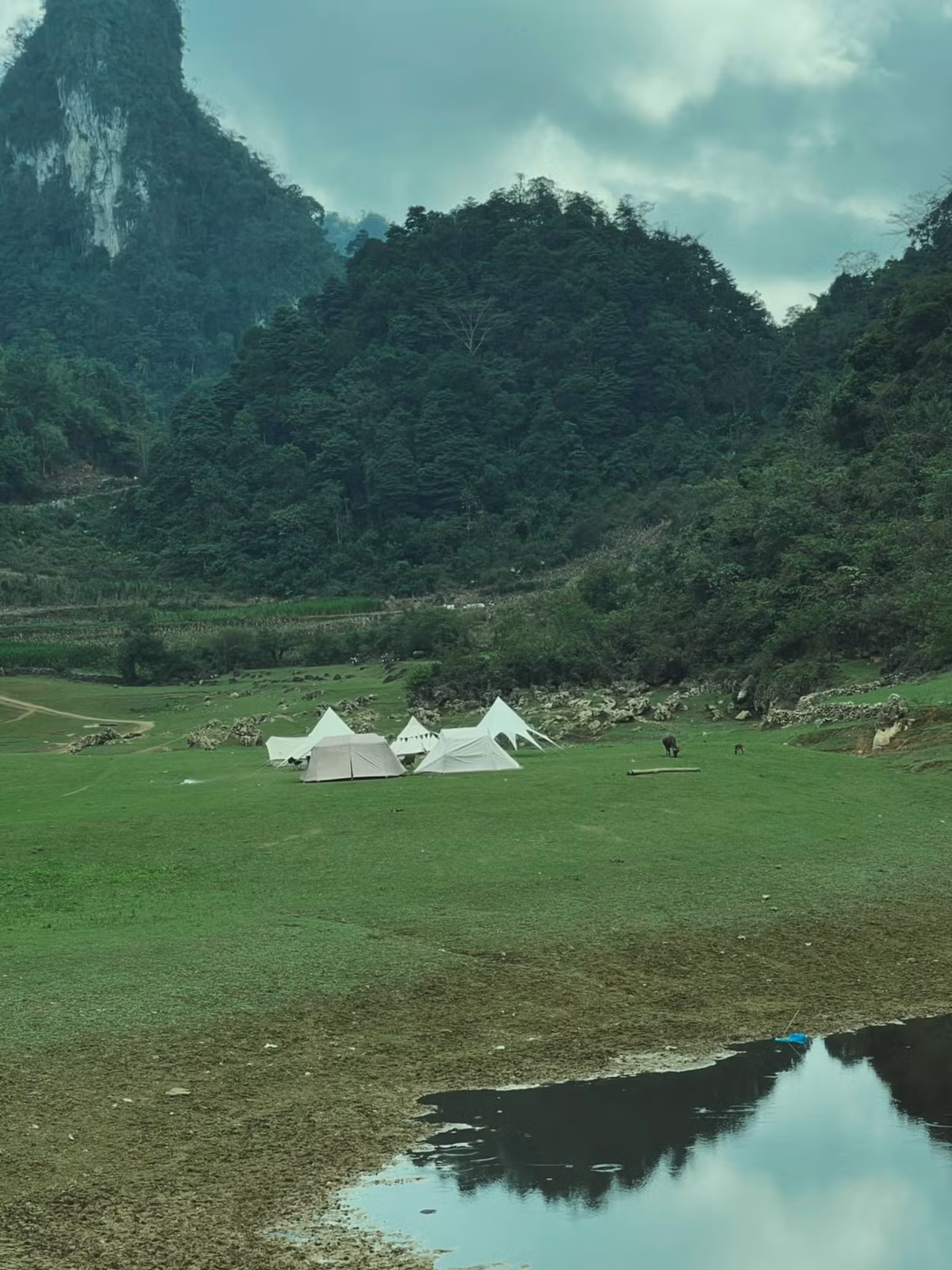 Những năm gần đây, núi Mắt Thần trở thành điểm đến được giới trẻ yêu thích, đặc biệt là dân mê camping, trekking. Du khách có thể dựng lều bên triền cỏ hoặc sát bờ suối, ngắm hoàng hôn buông qua “mắt núi”, lắng nghe âm thanh núi rừng và tận hưởng một đêm ngủ giữa thiên nhiên thuần khiết. Ảnh Internet