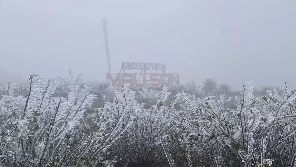 Cao nguyên Mẫu Sơn, ở độ cao khoảng 1.600m, được mệnh danh là “Sa Pa thứ hai của miền Bắc”. Vào những đợt rét đậm, băng giá dày và tuyết nhẹ bao phủ đỉnh núi, sương mù giăng kín các ngọn núi, tạo nên không gian huyền ảo. Ảnh Nguyễn Minh Chuyển