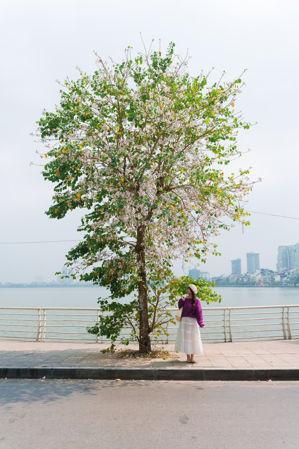 Giữa nhịp sống vội vã, mùa hoa ban mang đến một khoảng lặng dịu dàng cho phố thị. Dưới những tán hoa, người ta chậm lại đôi chút để ngắm một chùm hoa nở, để chụp một tấm ảnh, hay đơn giản là để cảm nhận sự chuyển mình rất khẽ của mùa.