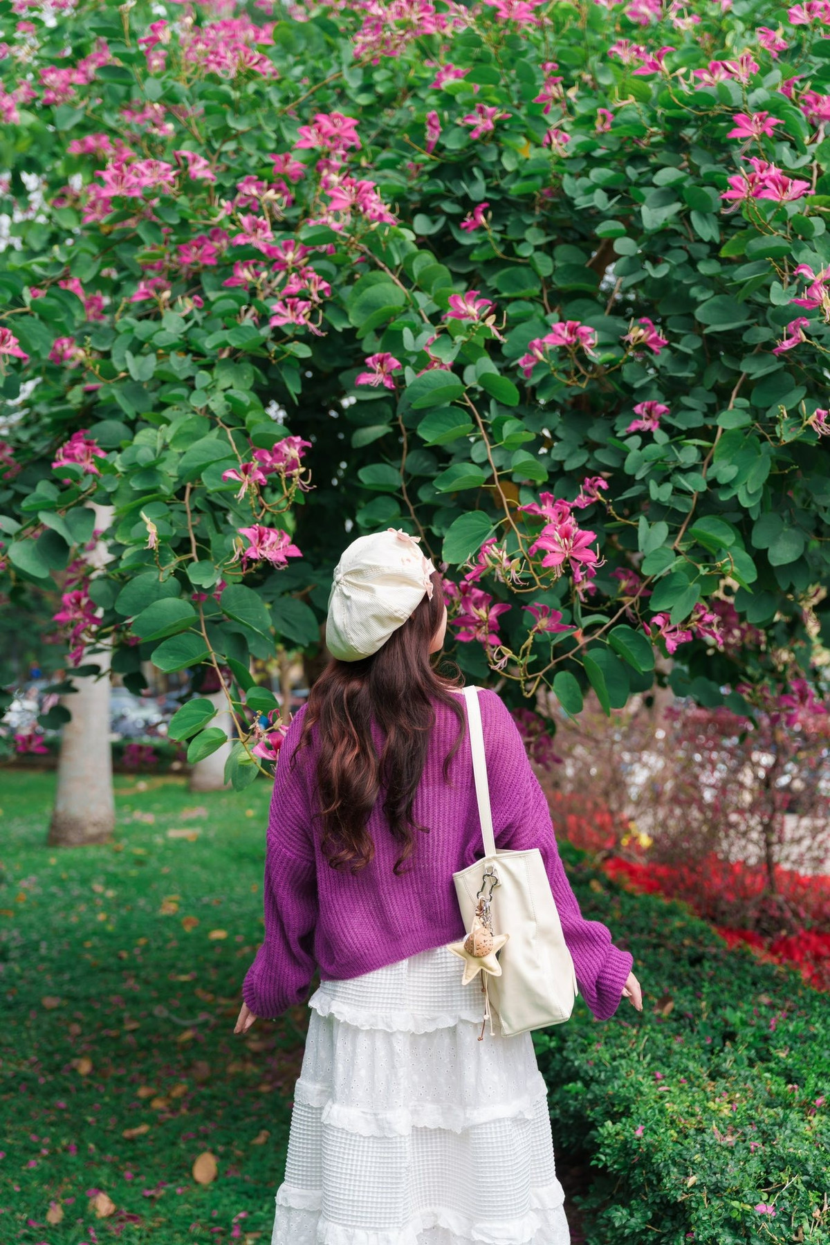 Những ngày này, không khó để bắt gặp hoa ban nở rộ trên các tuyến phố như Nguyễn Du, Điện Biên Phủ, Thanh Niên, Bắc Sơn, Hoàng Diệu hay Trần Phú. Từng chùm hoa đan xen trên những tán cây cao, tạo thành những “con đường hoa ban” khiến nhiều người thích thú.