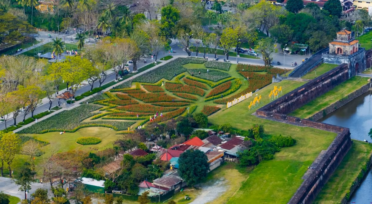 Từ xa nhìn lại, đóa sen hiện lên mềm mại, thanh thoát với từng lớp “cánh” xếp chồng lên nhau đầy nghệ thuật. Ảnh Lê Hoàng