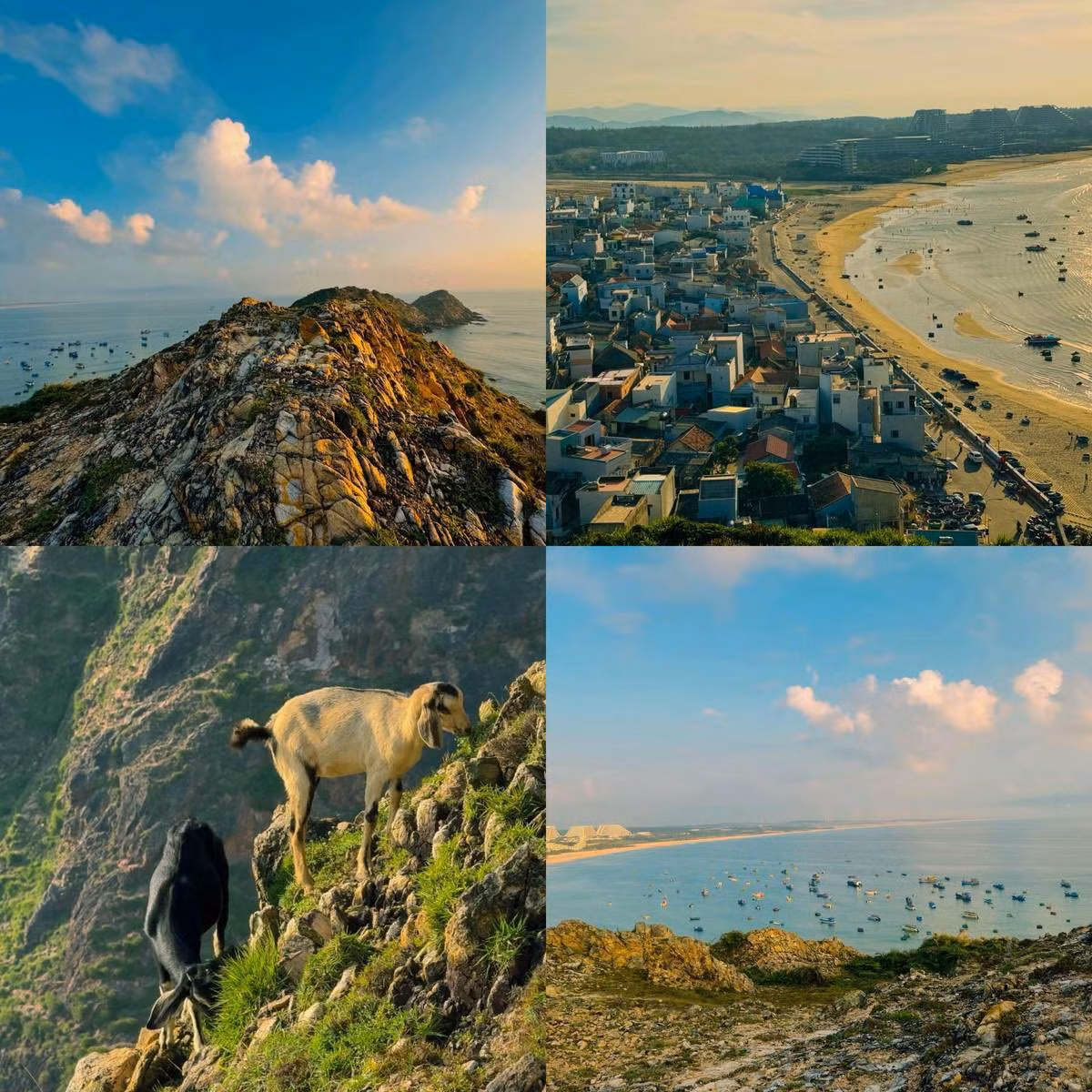 Không cần lặn biển, không cần dù bay hay mô tô nước, bãi Bấc chinh phục du khách bằng chính sự đơn sơ. Nơi đây thích hợp cho những chuyến đi nghỉ ngơi nhẹ nhàng: nằm đọc sách bên bãi cát, đắm mình trong làn nước trong mát, hay đơn giản là lắng nghe âm thanh của biển cả. Ảnh Tuyển