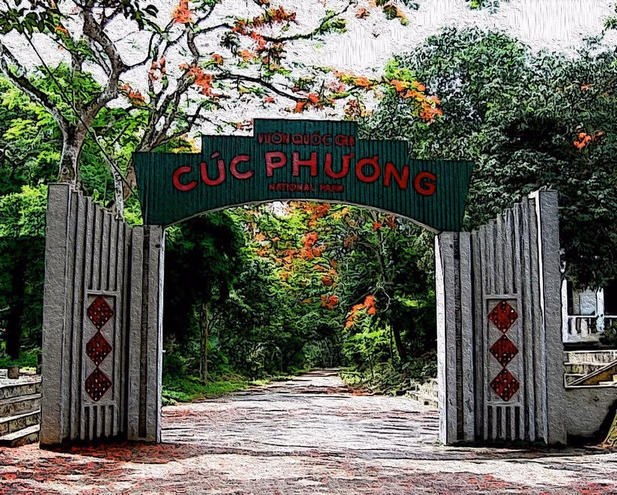 Cúc Phương còn là điểm trekking, cắm trại và khám phá hang động lý tưởng, giúp du khách vừa trải nghiệm thiên nhiên vừa quan sát chim trong môi trường hoang dã. Ảnh Danviet